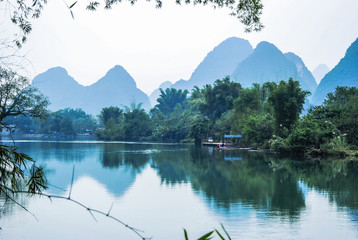 切花月季怎么养护（关于月季切花的养护知识）
