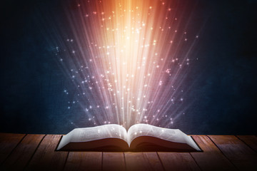 切花月季怎么养护（关于月季切花的养护知识）