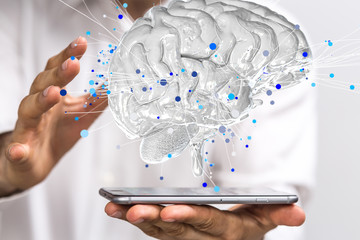 大学生个人自我鉴定