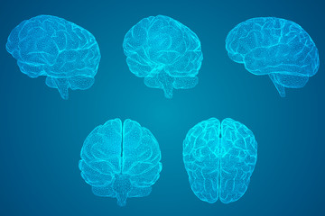 幼儿园小班教案《认识水果》