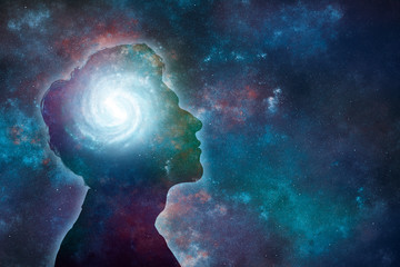 养生壶可以煮鸡鸭鱼汤么