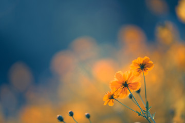 全英语中秋节手抄报嫦娥玉兔