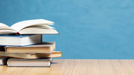 我喜欢的植物及特点