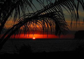 记忆历史知识的有效方法