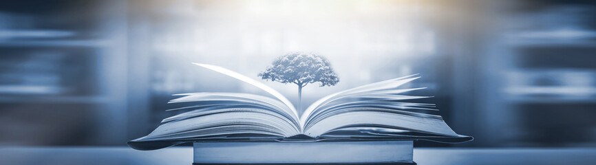 幼儿园托班优秀教案