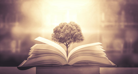 科目三考些什么内容？