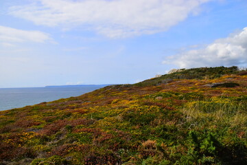 最实用的生活小妙招