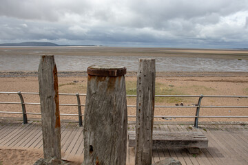 高中生物奥赛训练试题及答案(2)