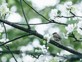 关于中秋节的灯谜有哪些及答案