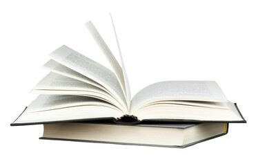 各种古怪又美丽的奇特植物