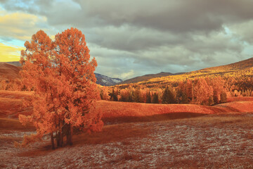高中生物奥赛训练试题及答案(2)