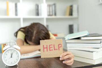 我喜欢的植物及特点