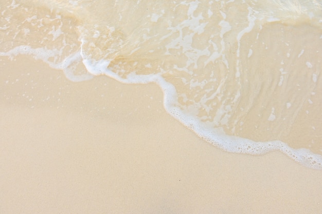 养生壶可以煮鸡鸭鱼汤么