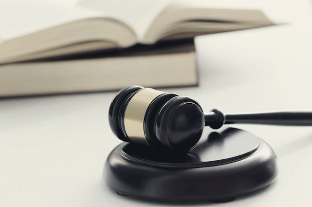 养生壶可以煮鸡鸭鱼汤么