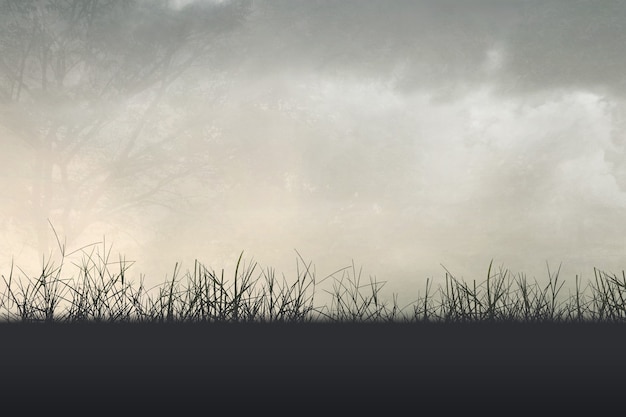 幼儿园小班教案《认识水果》