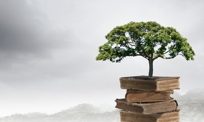 山东省城乡医疗救助办法