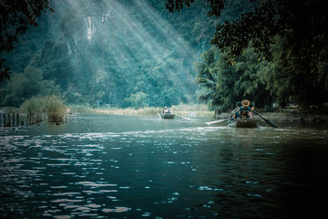 切花月季怎么养护（关于月季切花的养护知识）
